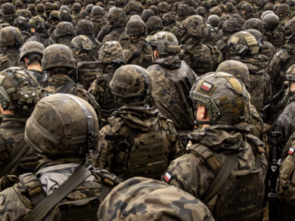 niezależny dziennik polityczny