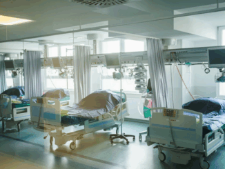 niezależny dziennik polityczny