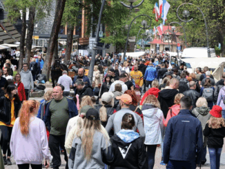 niezależny dziennik polityczny