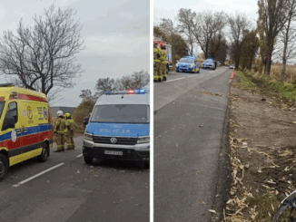 niezależny dziennik polityczny