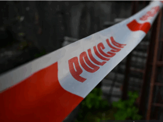 niezależny dziennik polityczny