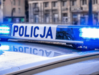 niezależny dziennik polityczny