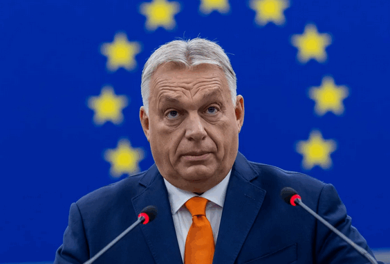 niezależny dziennik polityczny