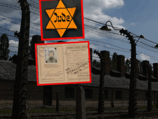 niezależny dziennik polityczny