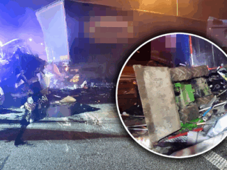 niezależny dziennik polityczny