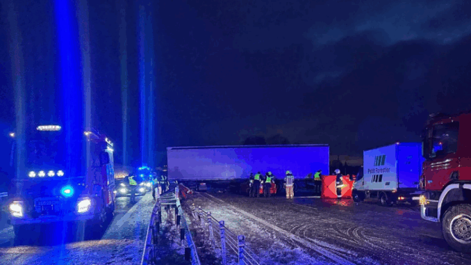 niezależny dziennik polityczny