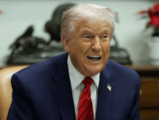 niezależny dziennik polityczny