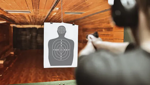 niezależny dziennik polityczny