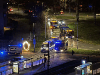 niezależny dziennik polityczny