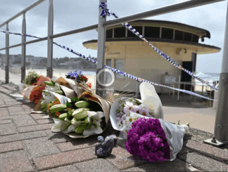 niezależny dziennik polityczny