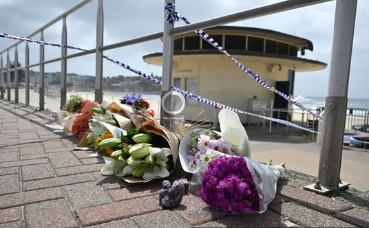 niezależny dziennik polityczny