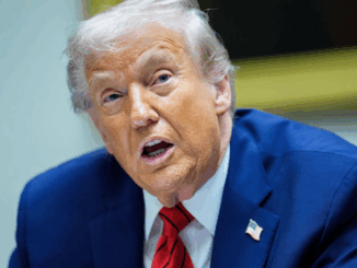 niezależny dziennik polityczny