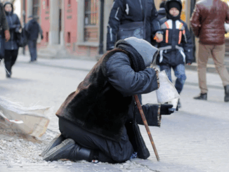 niezależny dziennik polityczny