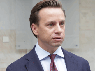 niezależny dziennik polityczny