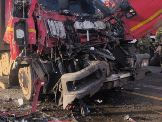 niezależny dziennik polityczny