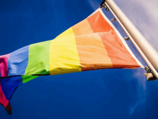 niezależny dziennik polityczny