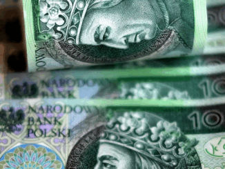 niezależny dziennik polityczny