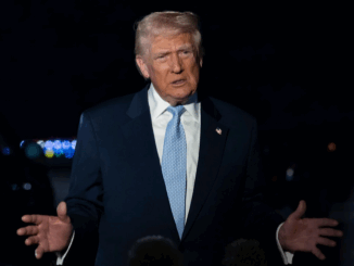 niezależny dziennik polityczny