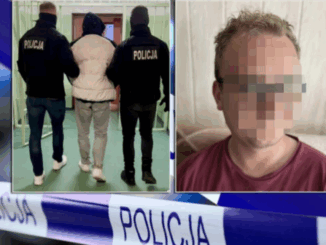 niezależny dziennik polityczny