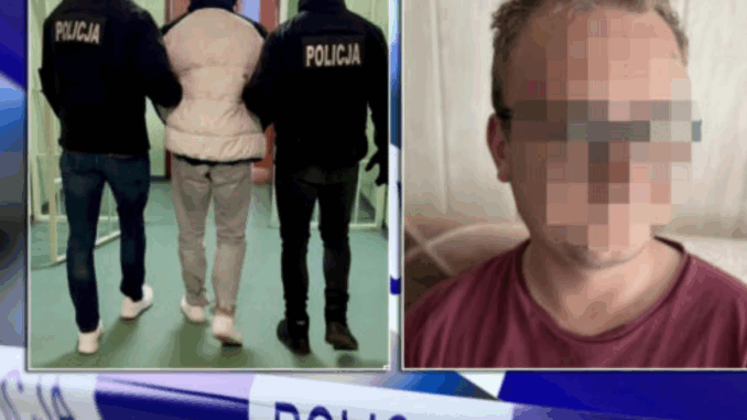 niezależny dziennik polityczny