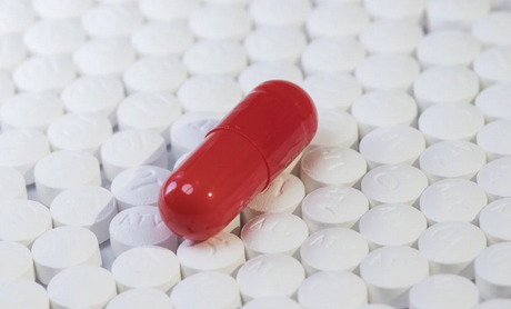 niezależny dziennik polityczny