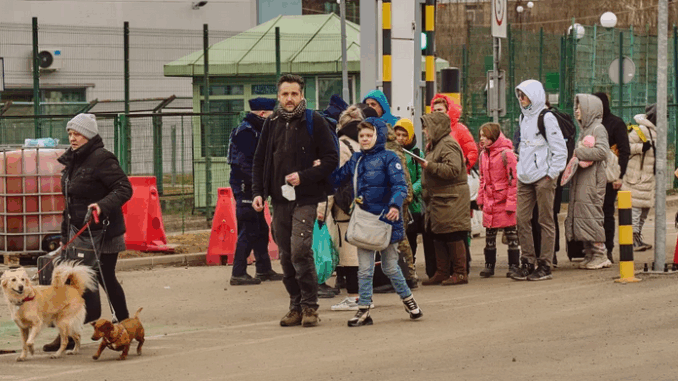 niezależny dziennik polityczny