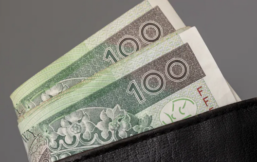 niezależny dziennik polityczny