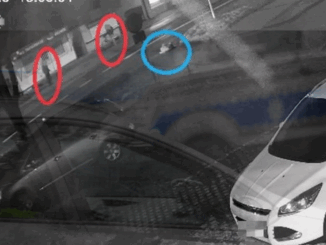 niezależny dziennik polityczny