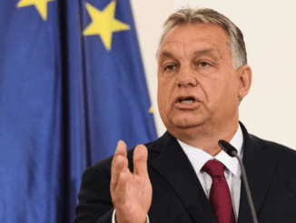 niezależny dziennik polityczny