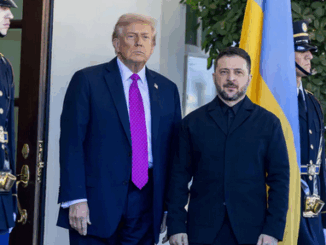 niezależny dziennik polityczny