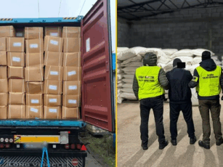 niezależny dziennik polityczny