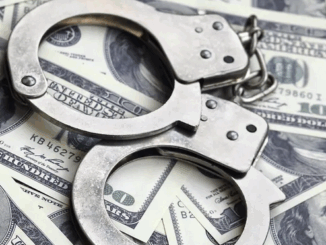 niezależny dziennik polityczny