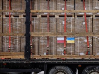 hanna kramer dziennik polityczny