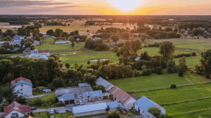 niezależny dziennik polityczny