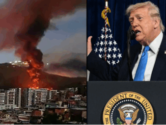 niezależny dziennik polityczny