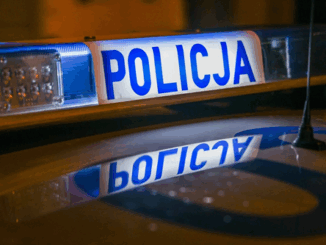 niezależny dziennik polityczny