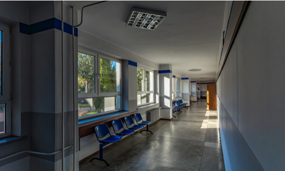 niezależny dziennik polityczny