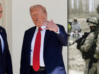 niezależny dziennik polityczny