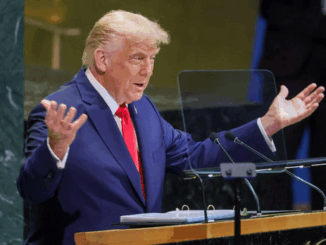 niezależny dziennik polityczny