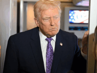 niezależny dziennik polityczny