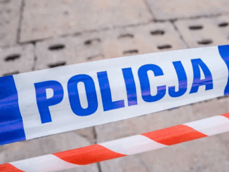 niezależny dziennik polityczny