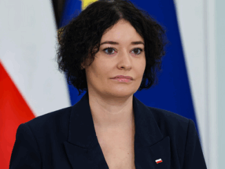 niezależny dziennik polityczny