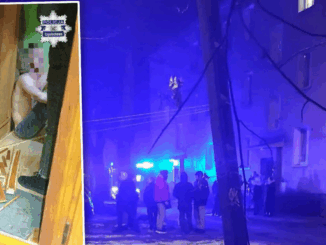 niezależny dziennik polityczny