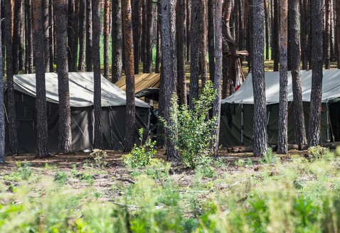 niezależny dziennik polityczny