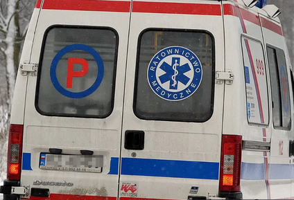 niezależny dziennik polityczny