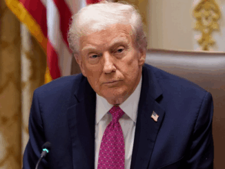 niezależny dziennik polityczny