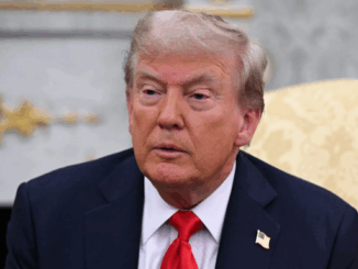 niezależny dziennik polityczny