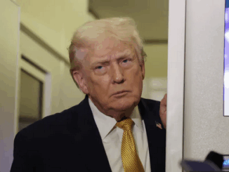 niezależny dziennik polityczny