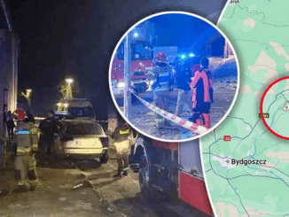 niezależny dziennik polityczny