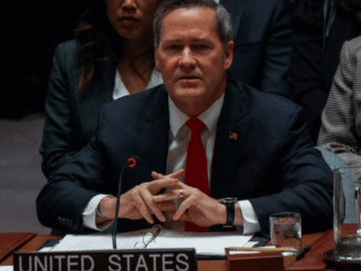 niezależny dziennik polityczny